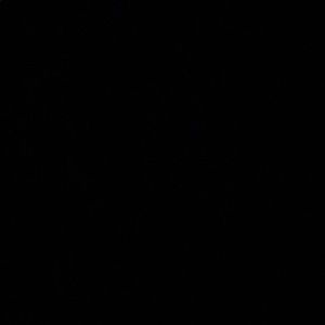 Meet your Posher, Shirley